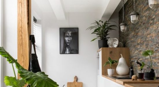 cuisine blanche avec bois plantes mur en pierres